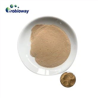 Bacillus Licheniformis Aditivos para ganado