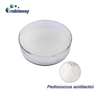 Pediococcus acidilactici de alta concentración