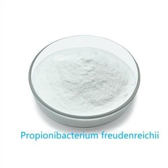 Propionibacterium freudenreichii natural