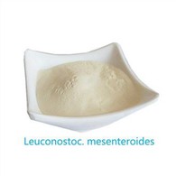 Leuconostoc Mesenteroides crudo