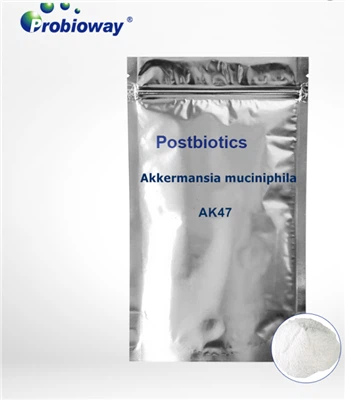 Zhengzhou H&H Company lanza el innovador probiótico posbiótico AK47, pionero ...